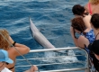 DSC_2312a.jpg