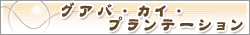 �O�A�o�E�J�C�E�v�����e�[�V����