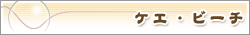 �P�G�E�r�[�`