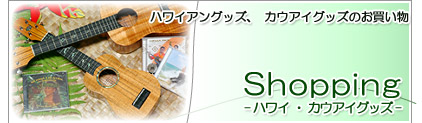 Shopping -�n���C�E�J�E�A�C�O�b�Y-�@�n���C�A���O�b�Y�A�J�E�A�C�O�b�Y�̂�������