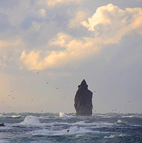 Cape Kamui