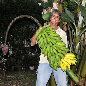 Bananas