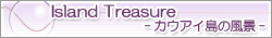 Island Treasure -�J�E�A�C���̕��i-
