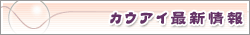 �J�E�A�C�ŐV���