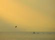 _DSC9126a