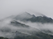 _DSC7961a.jpg