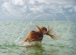 Naia on the Beach