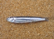 DSC05447a.jpg