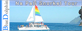 Splash of Kauai Activities - Blue Dolphin / Na Pali Snorkel Tour