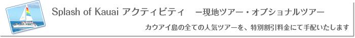 Splash of Kauai アクティビティ　−現地ツアー・オプショナルツアー