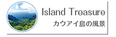 Island Treasure −カウアイ島の風景