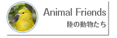 Animal Friends −陸の動物たち