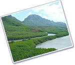 kayakw_07