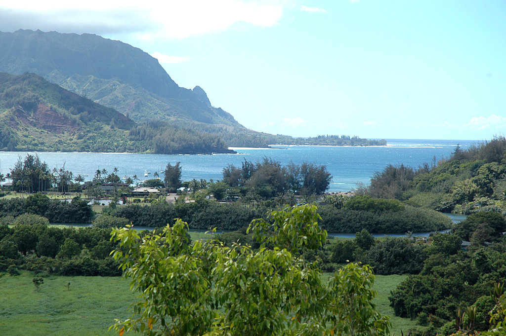 449点のハナレイ湾のストックフォト Getty Images